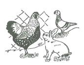 les_amis_de_la_nature Logo de la société les amis de la nature