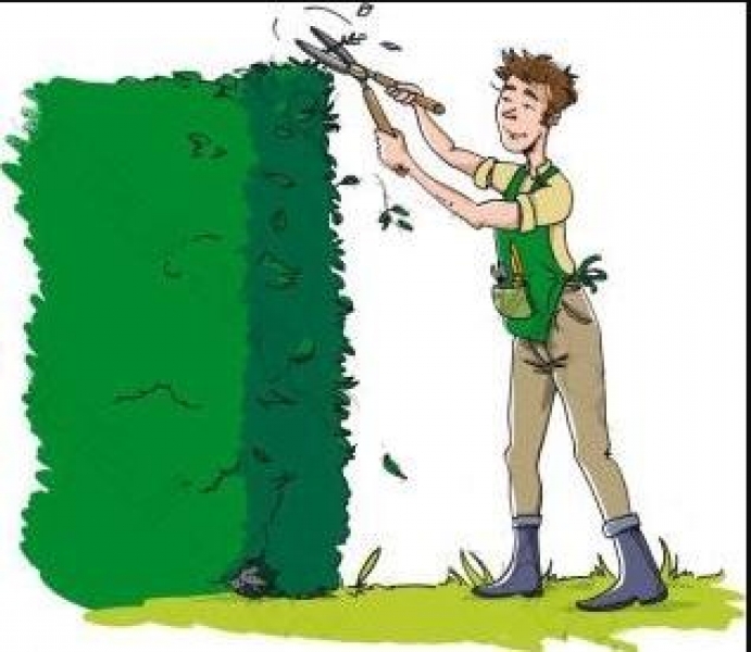 Taille des haies le long de routes