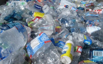 Lancement du projet collecte des plastiques ménagers à partir du 03 février 2025