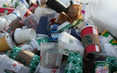 Collecte des déchets encombrants
