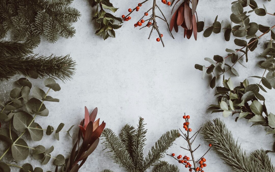 Fenêtres de l’Avent 2025