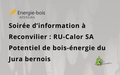 Energie-bois, Interjura