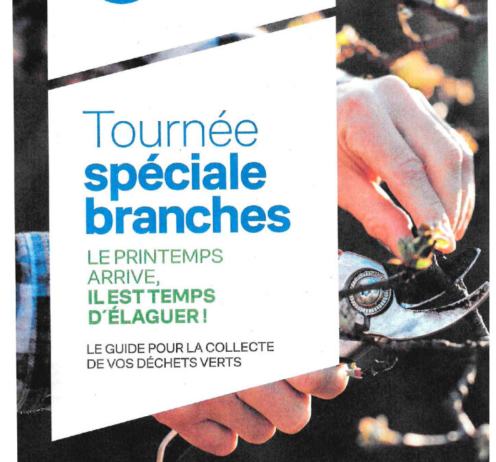 Tournée spéciale branches