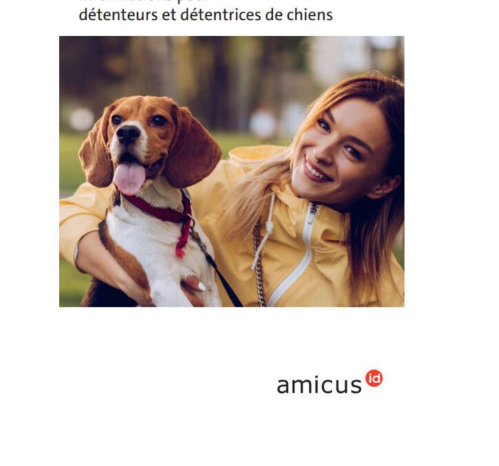 Nouveau flyer d&rsquo;Amicus disponible