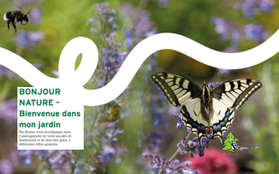 BONJOUR NATURE